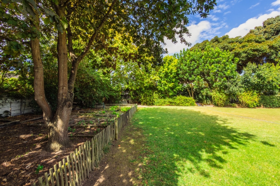 Commercial Property for Sale in Constantia Western Cape